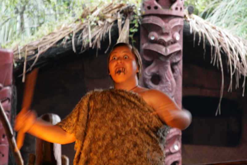 Nieuw-Zeeland 2011 - 0647